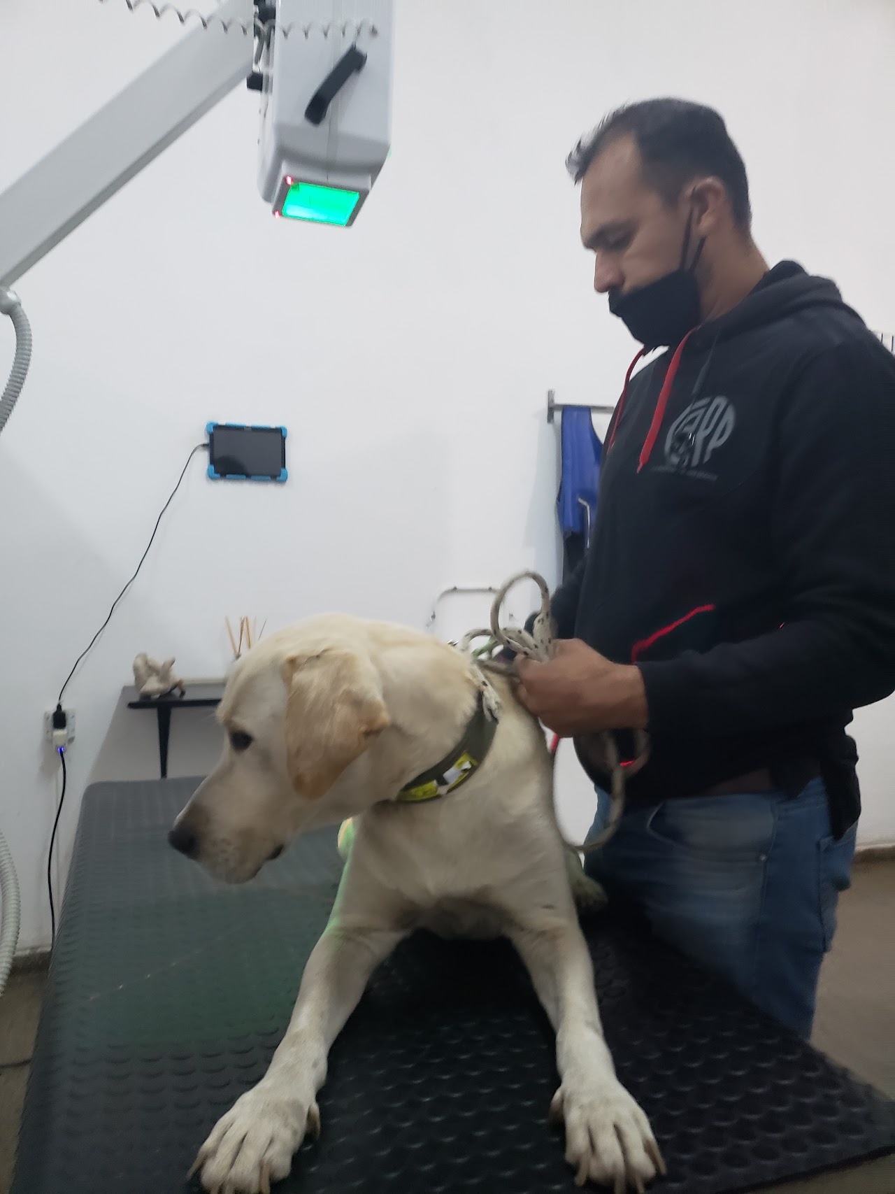 Atención profesional a mascota